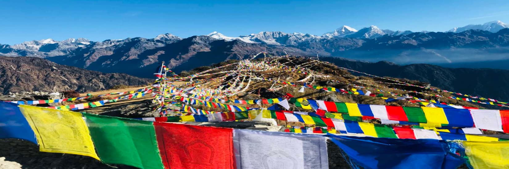 Ama Yangri Trek: A Complete Guide to Helambu Sacred Himalayan Peak