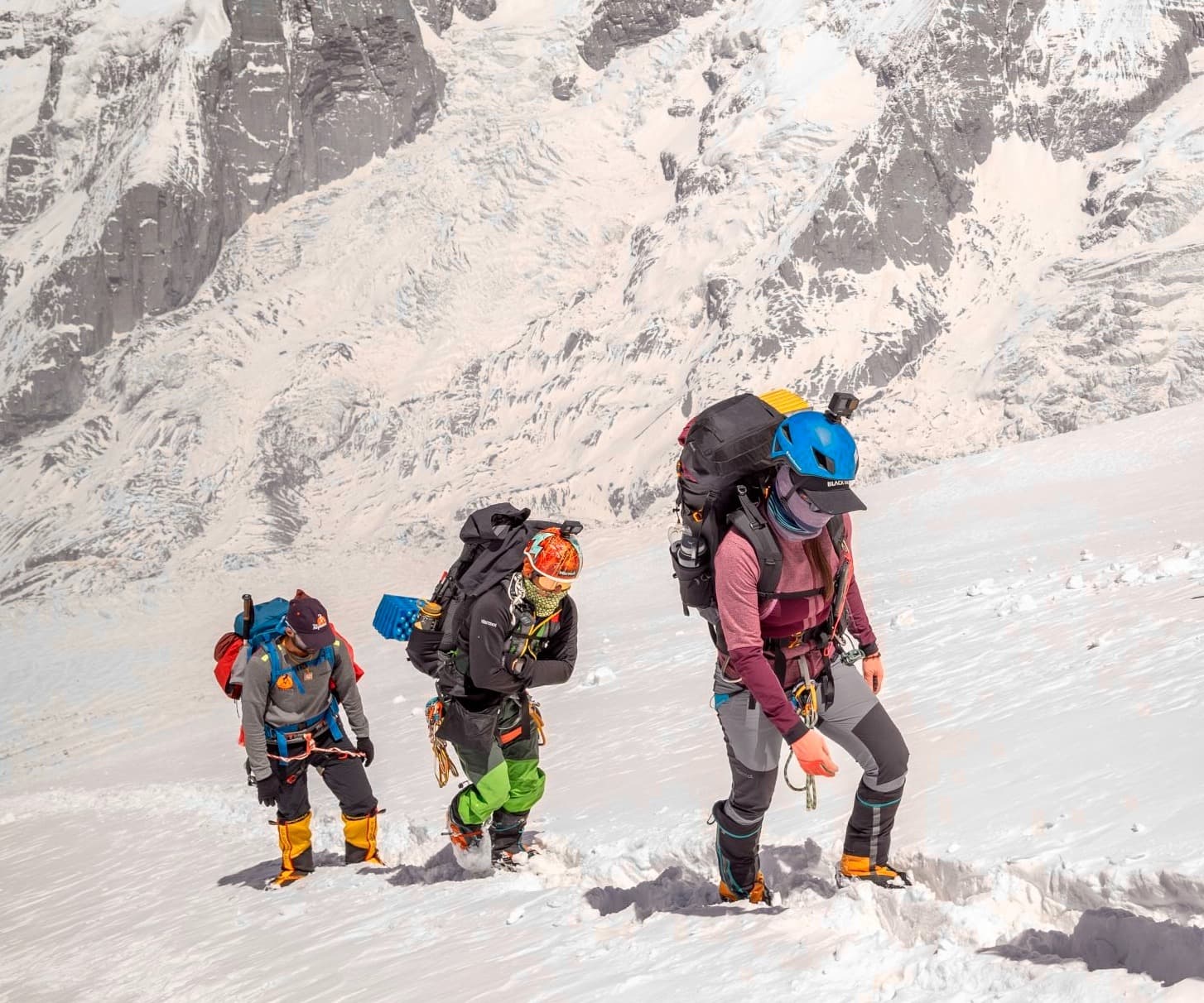 Annapurna South Expedition (7,219 m)