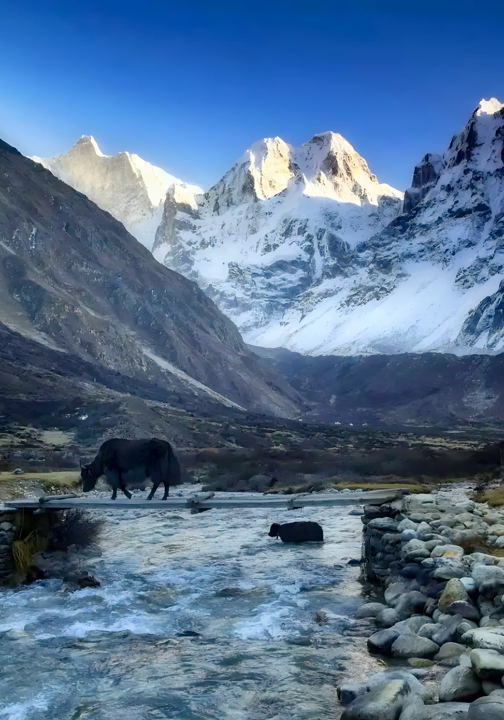 Kangchenjunga Trekking