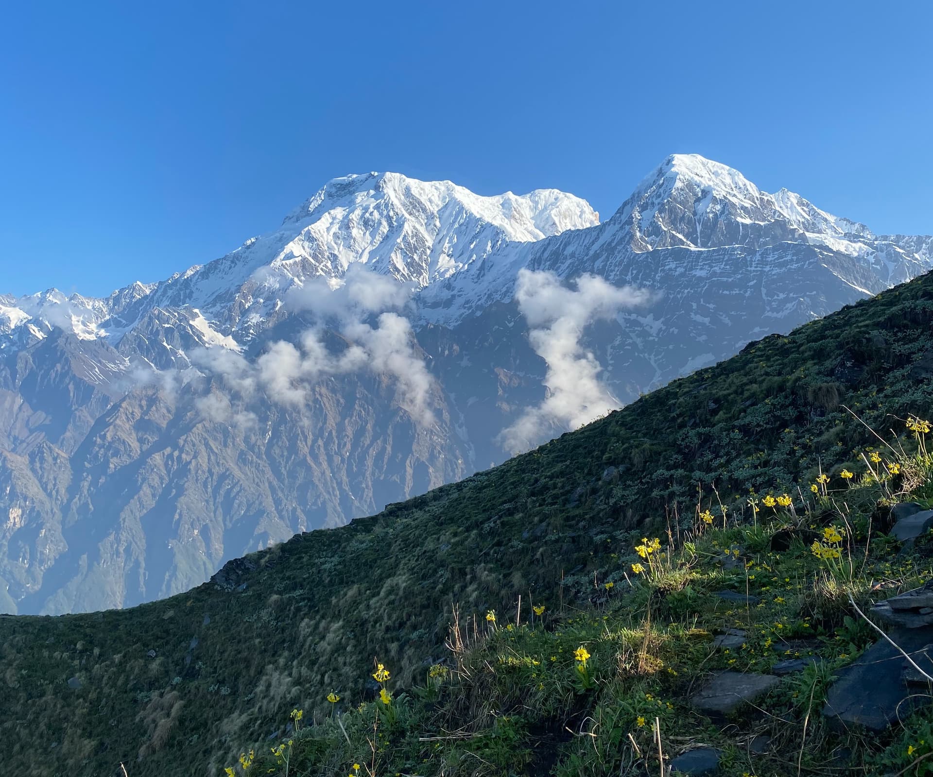 Mardi Himal Trek
