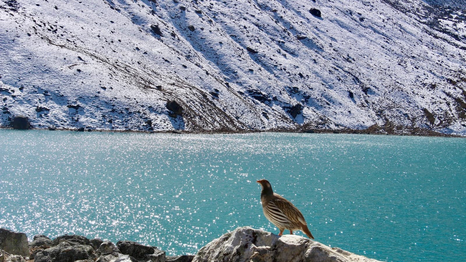 Gokyo and Everest trek
