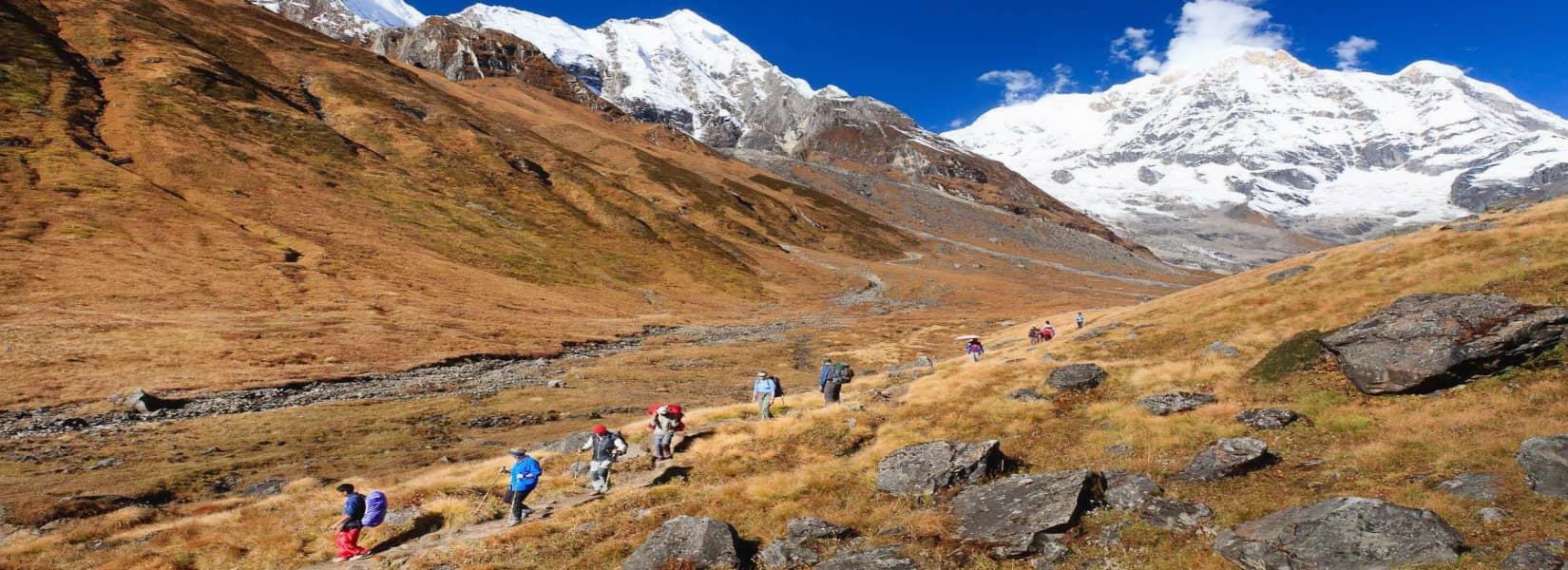 Solo Trekking vs. Group Expeditions: Which is Right for You?